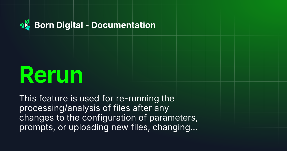 Rerun | Born Digital - Documentation